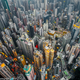 Sheung Wan, Hong Kong—Urban Jungle